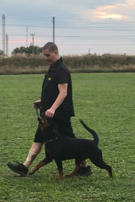 Poslušnosť - Obedience 
